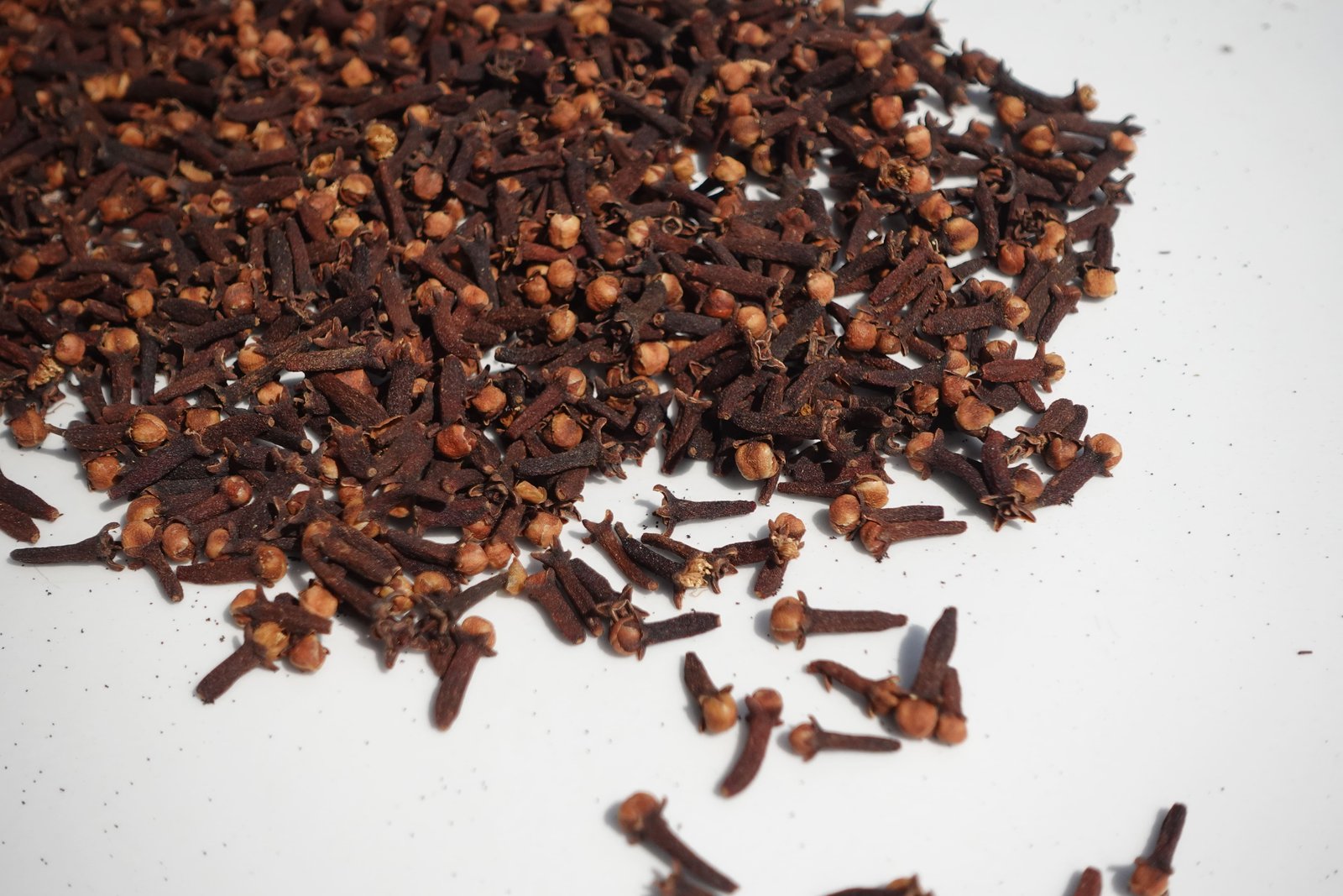 Cloves